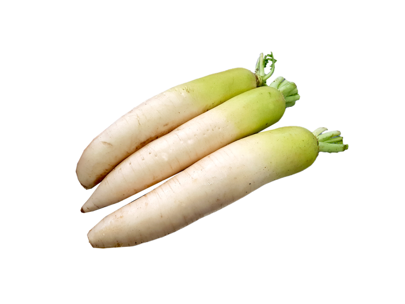 Lobak Putih Cameron (白萝卜)